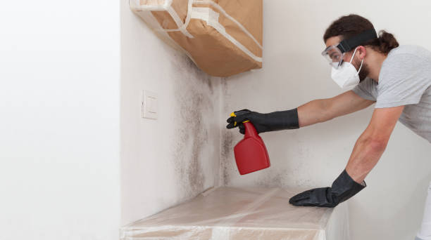 Professional Mold Remediation technician working in Hillsborough, NC