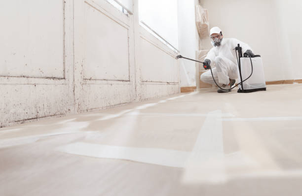 24/7 Emergency Mold Remediation experts in Hillsborough, NC
